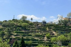 曼联奥纳纳：从失球困境到防守成长之路